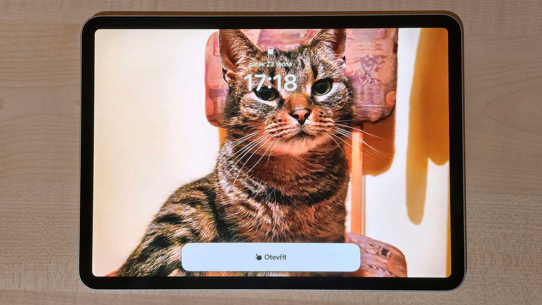 Takto lze zjednodušit ovládání iPhonu a iPadu pomocí Zpřístupnění