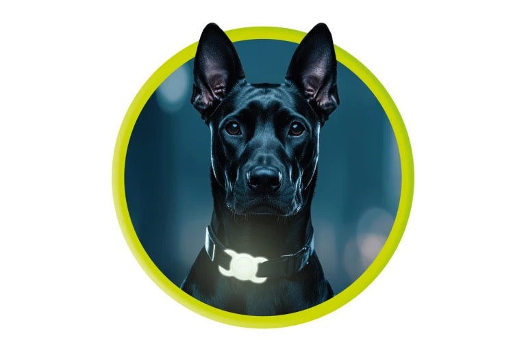 Obojek pro mazlíčky s držákem na AirTag Mobile Origin - svítící zelená - istyle.work