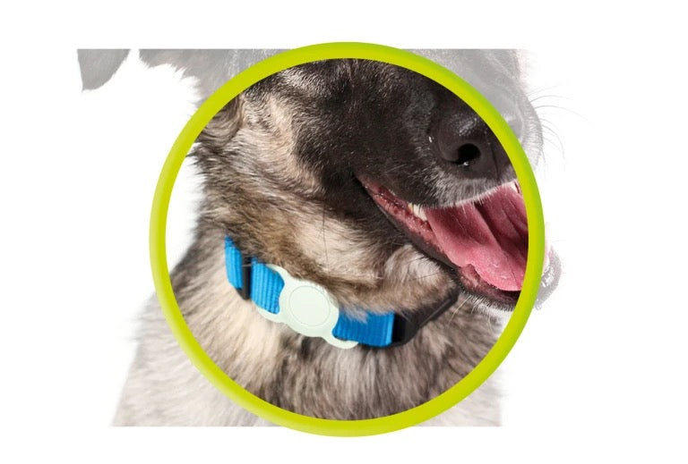 Obojek pro mazlíčky s držákem na AirTag Mobile Origin - svítící zelená - istyle.work