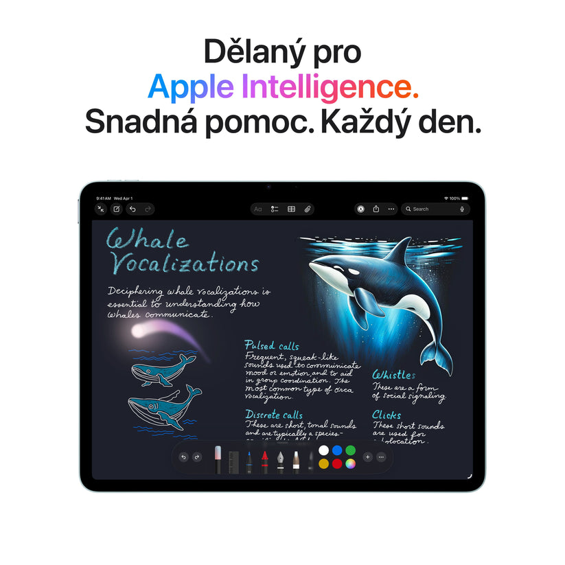 13palcový iPad Air Wi-Fi 1 TB - vesmírně šedý (M4) - istyle.work