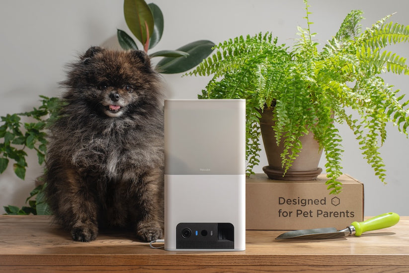 Monitor domácích mazlíčků Petcube Bites 2 Lite - istyle.work