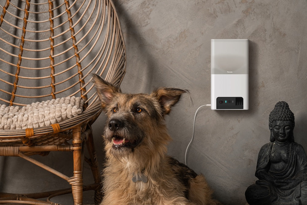 Monitor domácích mazlíčků Petcube Bites 2 Lite - istyle.work