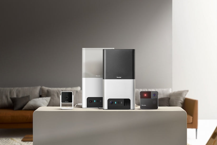 Monitor domácích mazlíčků Petcube Bites 2 Lite - istyle.work