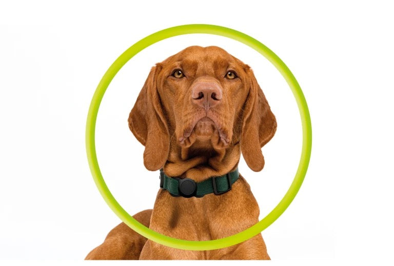 Obojek pro mazlíčky s držákem na AirTag Mobile Origin - černý - istyle.work