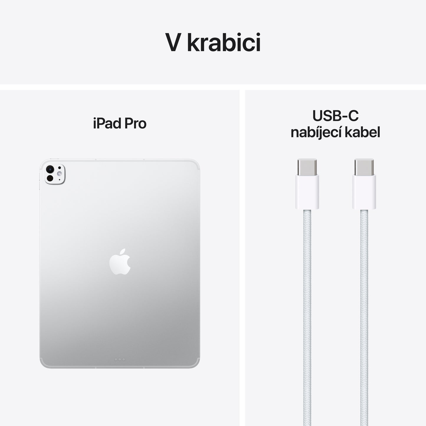 13palcový iPad Pro Wi-Fi + Cellular 1TB se standardním sklem - stříbrný
