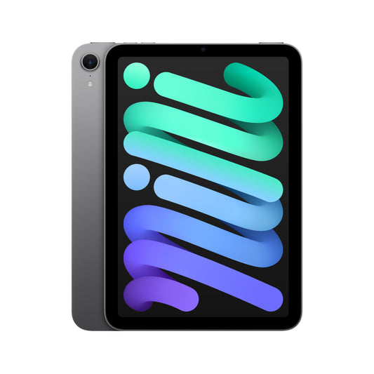 Apple iPad mini Wi-Fi 256GB - vesmírně šedý