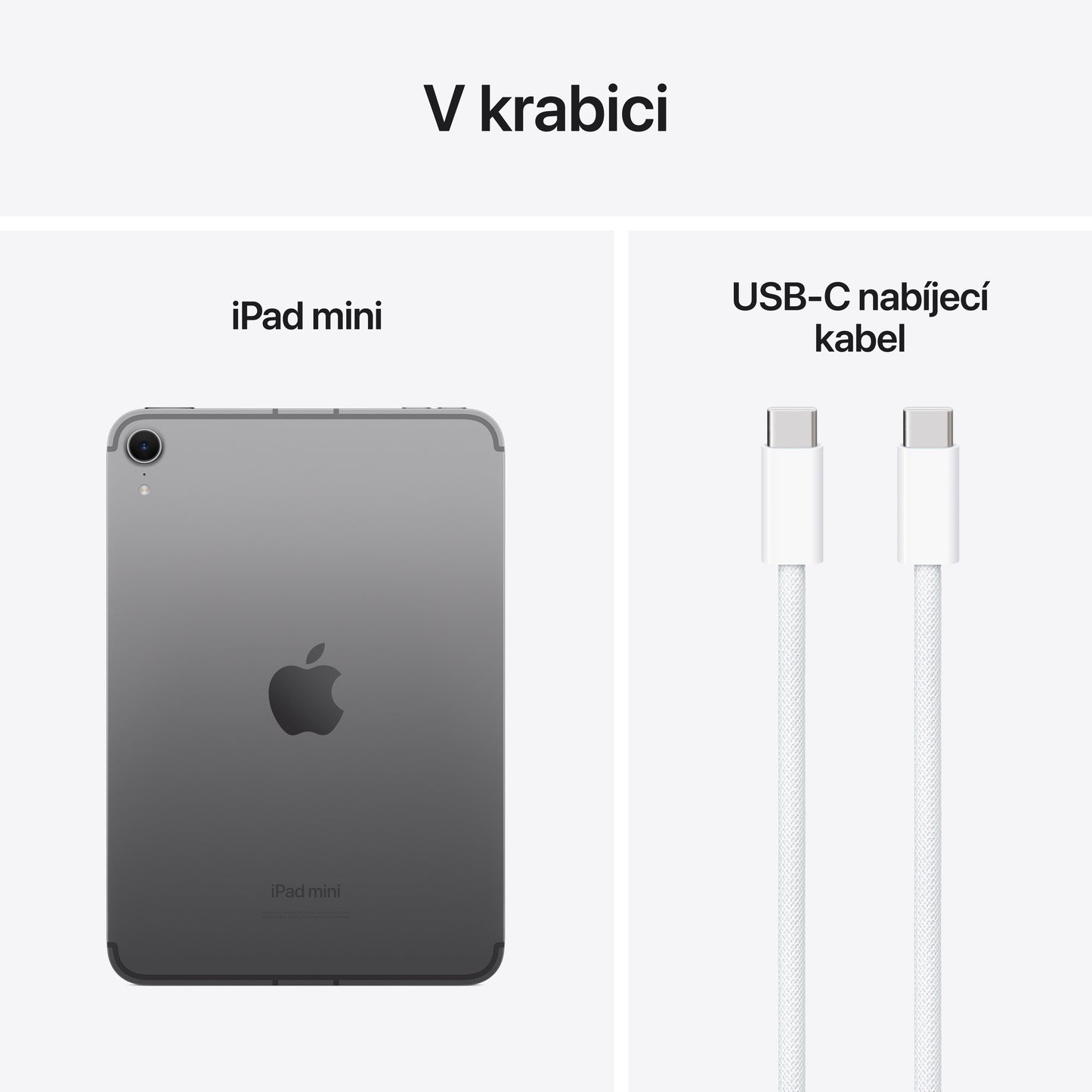 Apple iPad mini Wi-Fi + Cellular 128GB - vesmírně šedý (otevřený) - istyle.work