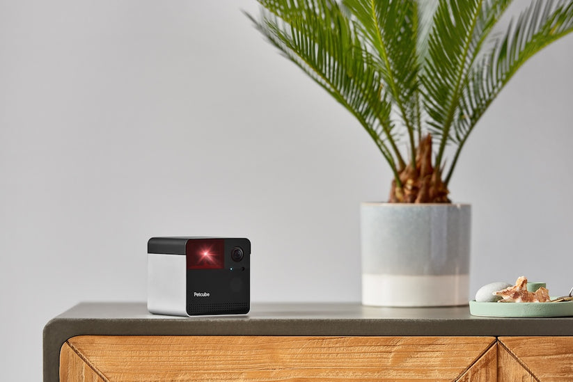 Monitor domácích mazlíčků Petcube Play 2 - istyle.work