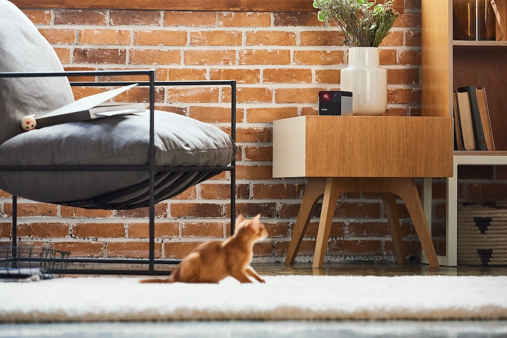 Monitor domácích mazlíčků Petcube Play 2 - istyle.work