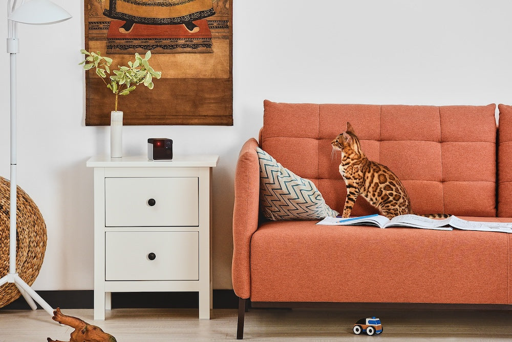 Monitor domácích mazlíčků Petcube Play 2 - istyle.work