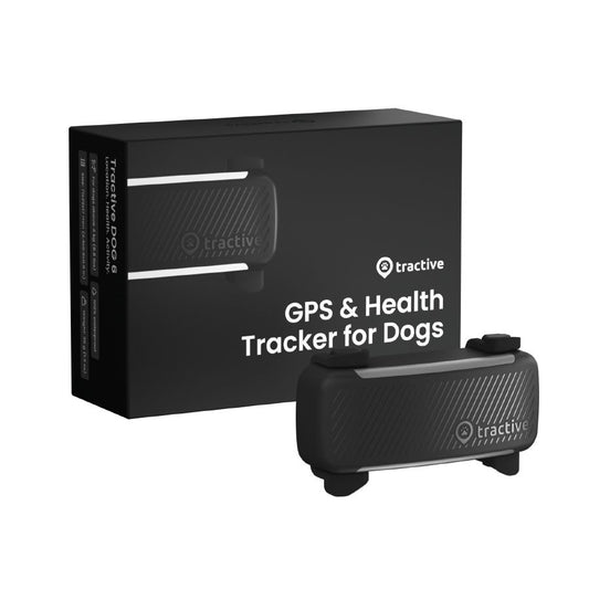 GPS tracker pro psy Tractive DOG 6 s monitoringem zdraví a štěkání
